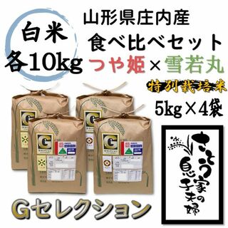 山形県庄内産　食べ比べセット　白米20kg　Ｇセレクション(米/穀物)