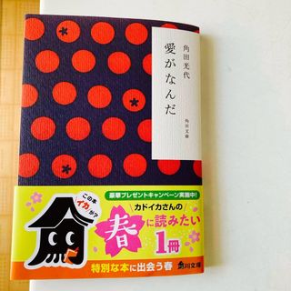 愛がなんだ(文学/小説)