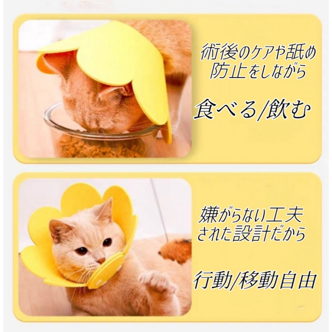 エリザベスカラー S イエロー 猫 犬 ペット用品 傷口保護 舐め防止 引っ掻き その他のペット用品(猫)の商品写真