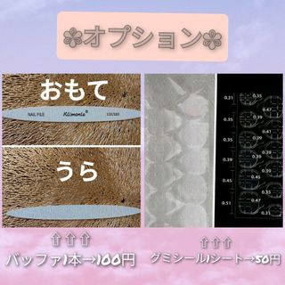 ネイルチップ　ジェル　春　現品 夏　秋　冬　韓国　フラワー　ニュアンス　量産型 ハンドメイドのアクセサリー(ネイルチップ)の商品写真