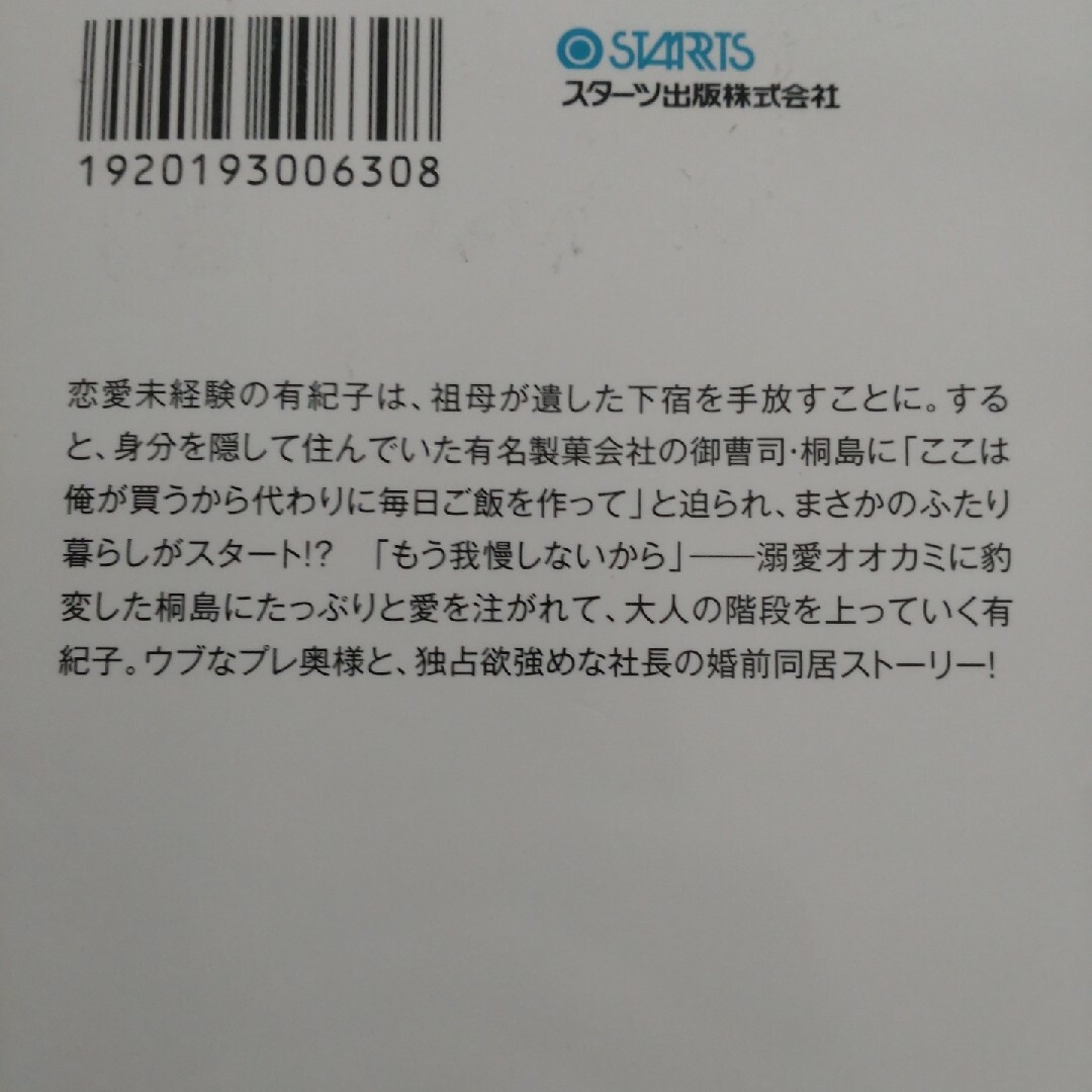 TL小説８冊セット ベリーズ文庫 エンタメ/ホビーの本(文学/小説)の商品写真