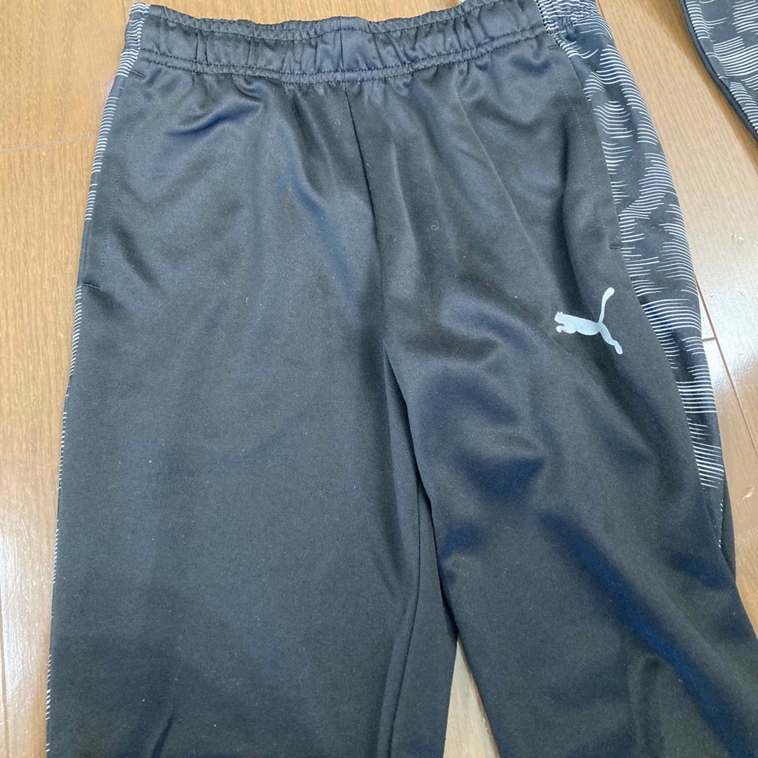 PUMA(プーマ)のプーマ　ジャージ　140〜150 キッズ/ベビー/マタニティのキッズ服男の子用(90cm~)(その他)の商品写真