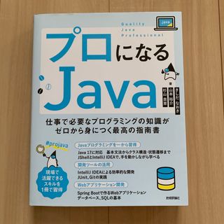 プロになるＪａｖａ－仕事で必要なプログラミングの知識がゼロから身につく最高の指南(コンピュータ/IT)