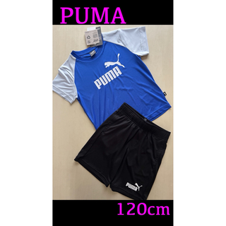プーマ(PUMA)の新品タグ付き　120㎝ PUMAプーマ上下セットアップ　ブルー×ブラック(Tシャツ/カットソー)