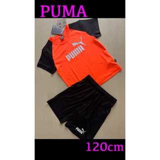 プーマ(PUMA)の新品タグ付き　120㎝ PUMAプーマ上下セットアップ　オレンジ×ブラック(Tシャツ/カットソー)