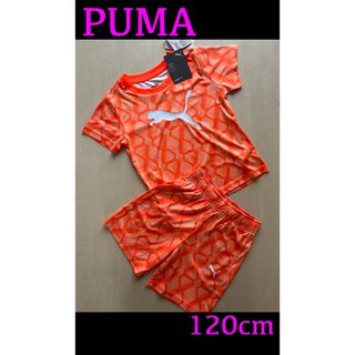 プーマ(PUMA)の新品タグ付き　120cm PUMAプーマ　上下セット(Tシャツ/カットソー)