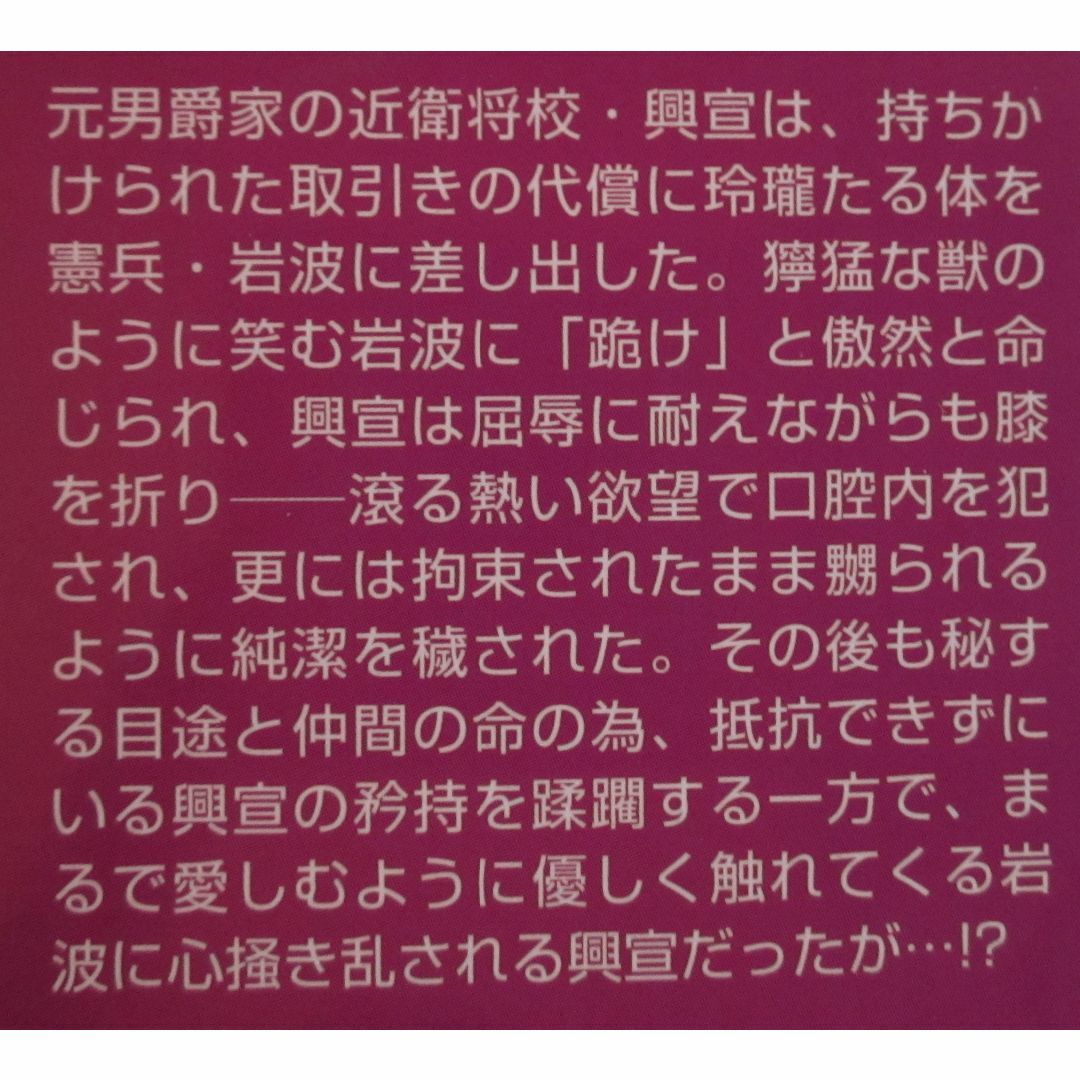 「軍服の劣情に堕ちて」「囚われた極東の華」「艶縛－軍靴の蹂躙－」 エンタメ/ホビーの本(ボーイズラブ(BL))の商品写真