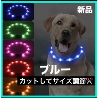 Dolitego 光る犬の首輪 LED 充電式 散歩のための犬首輪　ブルー (リード/首輪)