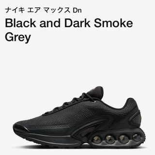 ナイキ(NIKE)のNIKE AIR MAX DN Black Smoke Grey 28.5(スニーカー)