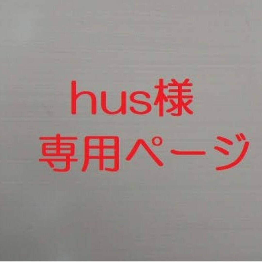 ☆☆hus様専用ページ☆☆ ハンドメイドのキッズ/ベビー(おもちゃ/雑貨)の商品写真