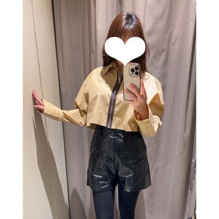 ザラ(ZARA)のZARAブラウントップス ブラウス(シャツ/ブラウス(長袖/七分))