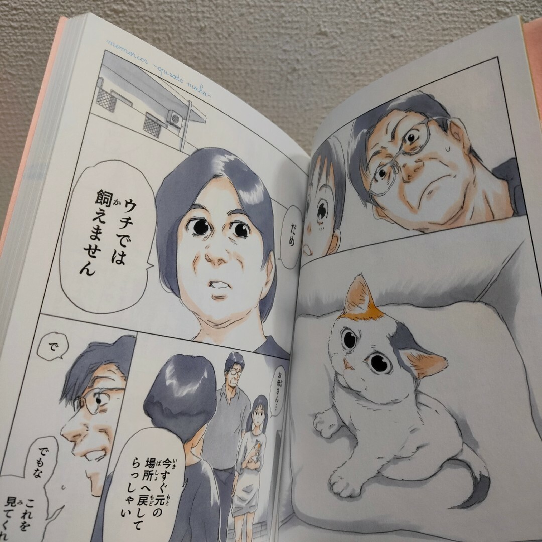 角川書店(カドカワショテン)の初版特典シール付 『 拾い猫のモチャ 2 』■ にごたろ エンタメ/ホビーの漫画(その他)の商品写真