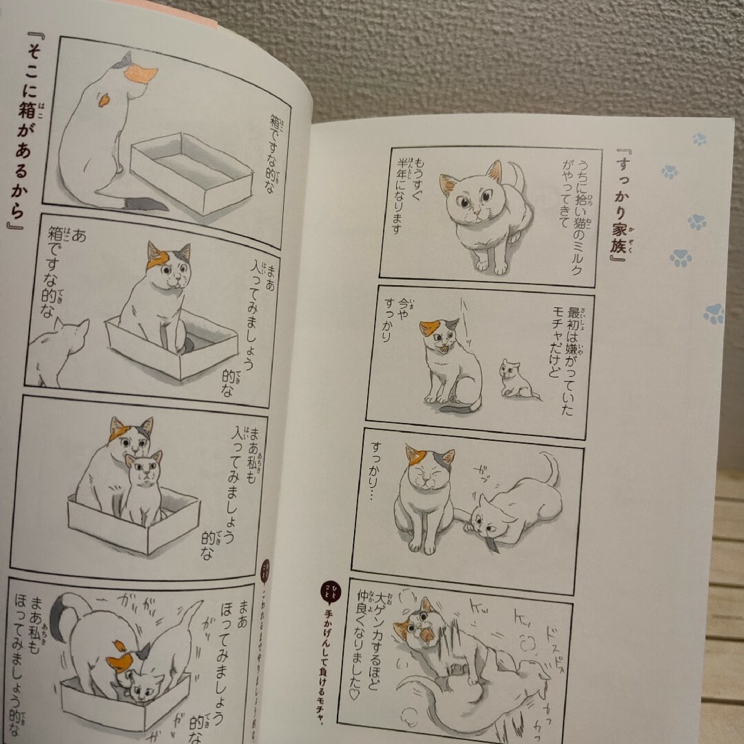 角川書店(カドカワショテン)の初版特典シール付 『 拾い猫のモチャ 2 』■ にごたろ エンタメ/ホビーの漫画(その他)の商品写真