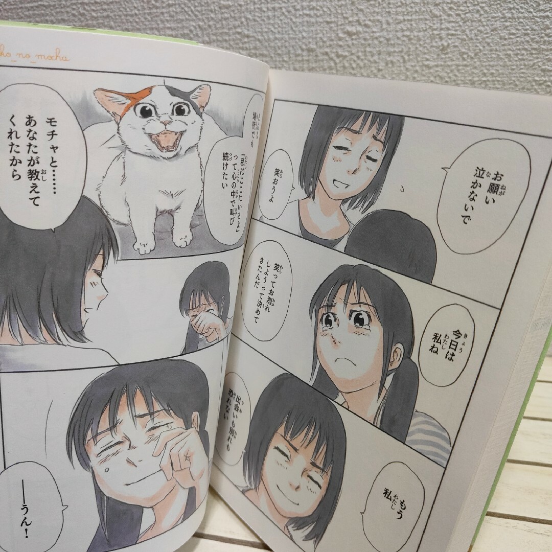 角川書店(カドカワショテン)の『 拾い猫のモチャ 3 』■ にごたろ / ネコ カラー 漫画 / 癒し エンタメ/ホビーの漫画(その他)の商品写真