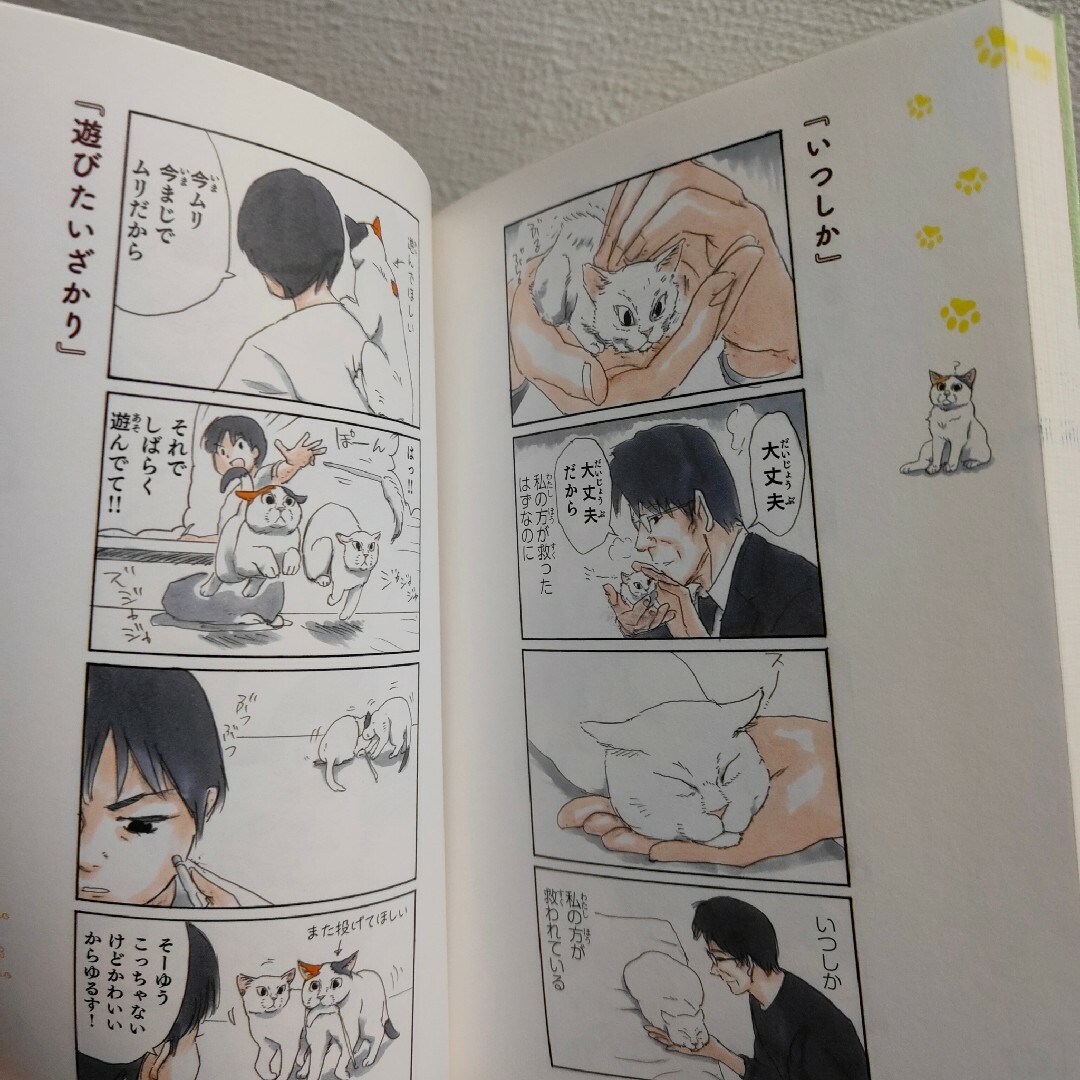 角川書店(カドカワショテン)の『 拾い猫のモチャ 3 』■ にごたろ / ネコ カラー 漫画 / 癒し エンタメ/ホビーの漫画(その他)の商品写真