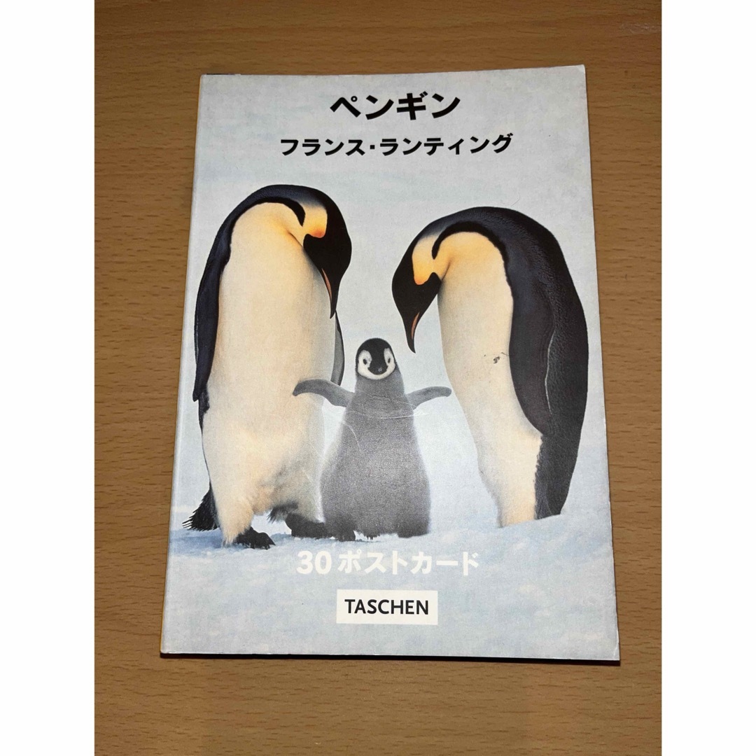 ペンギン　ポストカード エンタメ/ホビーの本(趣味/スポーツ/実用)の商品写真