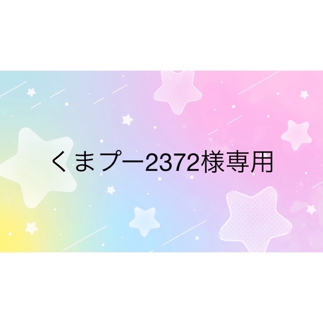 くまプー2372様専用　すみっこぐらし　レッスンバッグ&ランチマット ハンドメイドのキッズ/ベビー(バッグ/レッスンバッグ)の商品写真