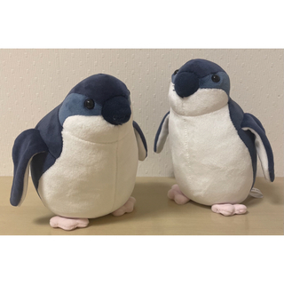 【ぬいぐるみ】ペンギン(ぬいぐるみ)