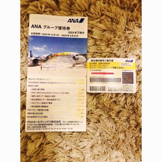 ANA グループ　株主優待券(その他)