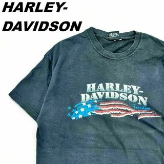 ハーレーダビッドソン(Harley Davidson)のハーレーダビッドソン Tシャツ XL ブラック Hanesタグ ロゴプリント(Tシャツ/カットソー(半袖/袖なし))