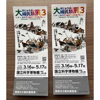 大哺乳類展3 国立科学博物館　無料観覧券2枚