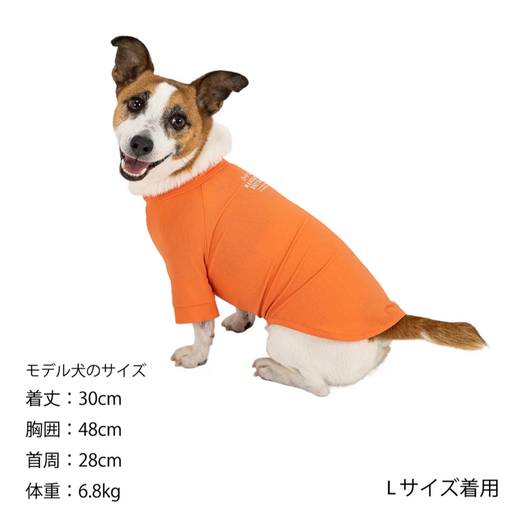 MANDARINE BROTHERS(マンダリンブラザーズ)のマンダリンブラザーズ　スキンタイトクールTシャツ　犬用品　ペットグッズ その他のペット用品(犬)の商品写真