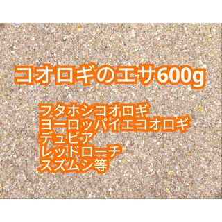 コオロギのエサ 600g(爬虫類/両生類用品)