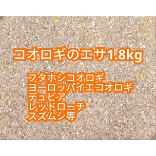 コオロギのエサ 1.8kg(爬虫類/両生類用品)