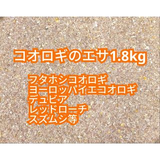 コオロギのエサ 1.8kg(爬虫類/両生類用品)