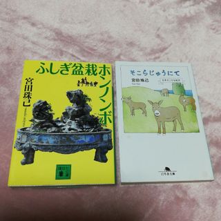 ふしぎ盆栽ホンノンボ・そこらじゅうにて(文学/小説)