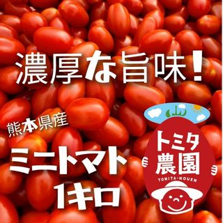 熊本県産ミニトマト「茜とまと1キロ」(野菜)