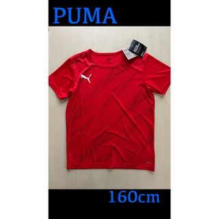 新品タグ付き　PUMAプーマ　160cm グラフィック SS Tシャツ　レッド