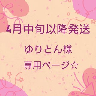 ゆりとん様専用ページ　図書袋　真っ赤なさくらんぼ(バッグ/レッスンバッグ)