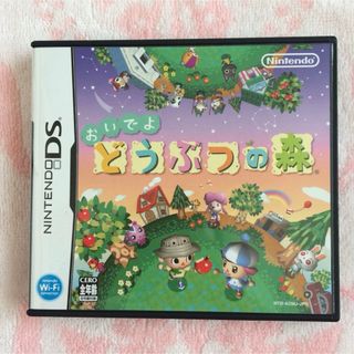 美品 Nintendo DS ソフト おいでよ どうぶつの森