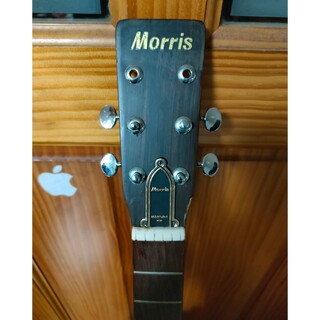 モーリス(MORRIS)のトラスロッドカバー(アコースティックギター)