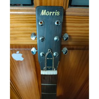 モーリス(MORRIS)のトラスロッドカバー(アコースティックギター)