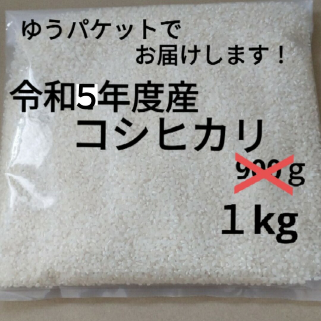 兵庫県産　コシヒカリ　箱込み900g 食品/飲料/酒の食品(米/穀物)の商品写真