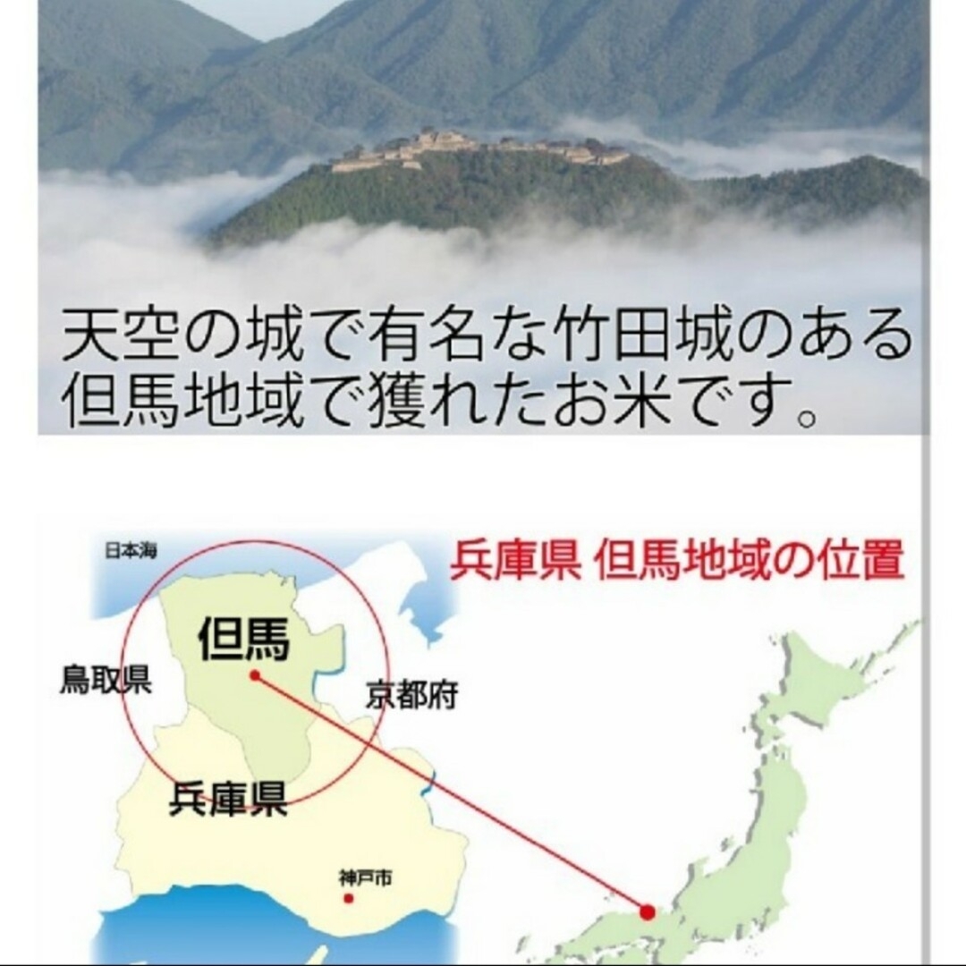 兵庫県産　コシヒカリ　箱込み900g 食品/飲料/酒の食品(米/穀物)の商品写真