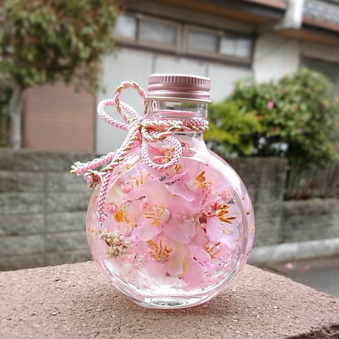 ハーバリウム   【満開の桜ボトル】 ハンドメイドのインテリア/家具(インテリア雑貨)の商品写真