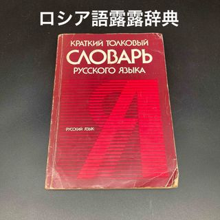 ★ロシア語学習に★ロシア語簡潔解説辞書(露露辞典)★送料無料★(語学/参考書)