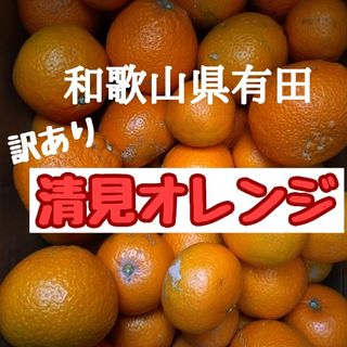 和歌山県有田 ジュ～シ〜清見オレンジ3kg(フルーツ)