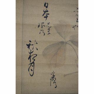 真作/松村呉春(画)賀茂李鷹(賛)/土筆葛の花画賛/掛軸☆宝船☆Y-773 真作/松村呉春(画)賀茂李鷹(賛)/土筆葛の花画賛/掛軸☆宝船☆Y-773