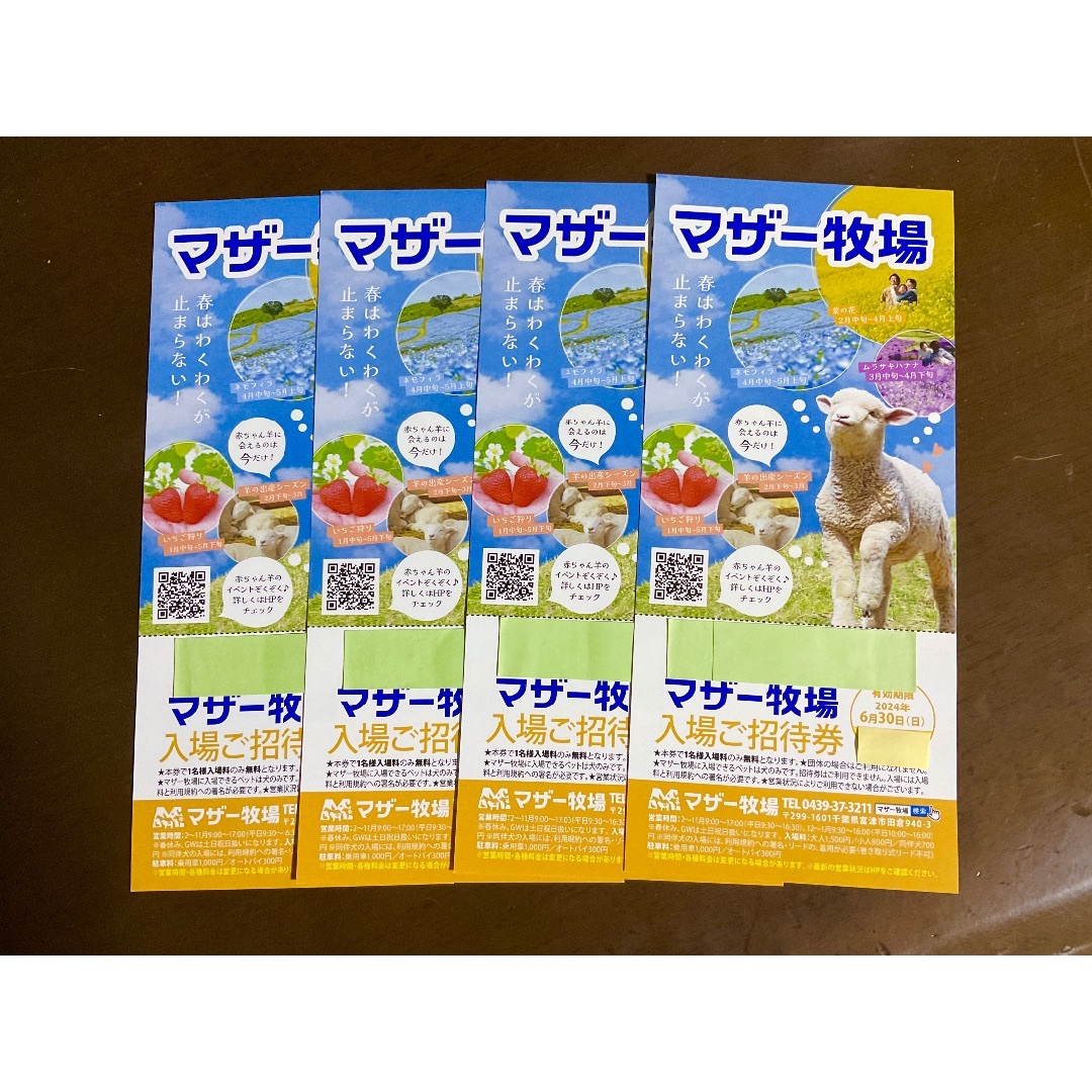 ’24.６/ 30 迄 ⭐︎ 千葉県 マザー牧場 ⭐︎ 入園券４枚セットです！ チケットの施設利用券(動物園)の商品写真