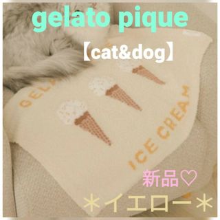 gelato pique - gelato pique【CAT&DOG】ベビモコアイスジャガード＊新品イエロー