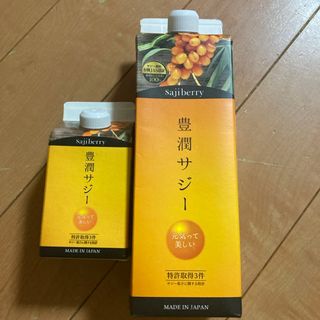 フィネス(Finess)の豊潤サジー　1000ml &300ml(その他)