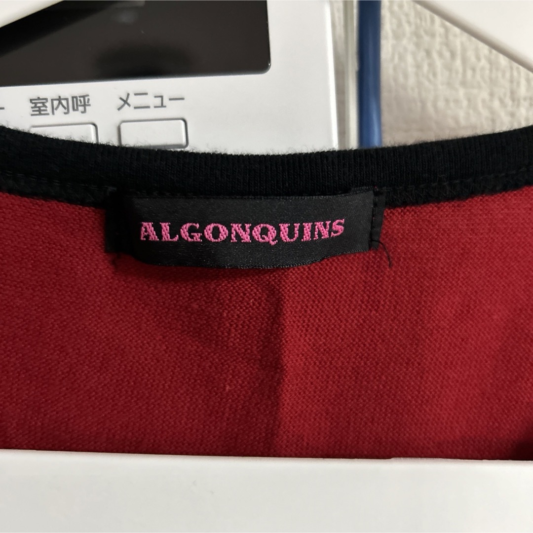 ALGONQUINS(アルゴンキン)のALGONQUINS 重ね着風Tシャツ レディースのトップス(シャツ/ブラウス(半袖/袖なし))の商品写真