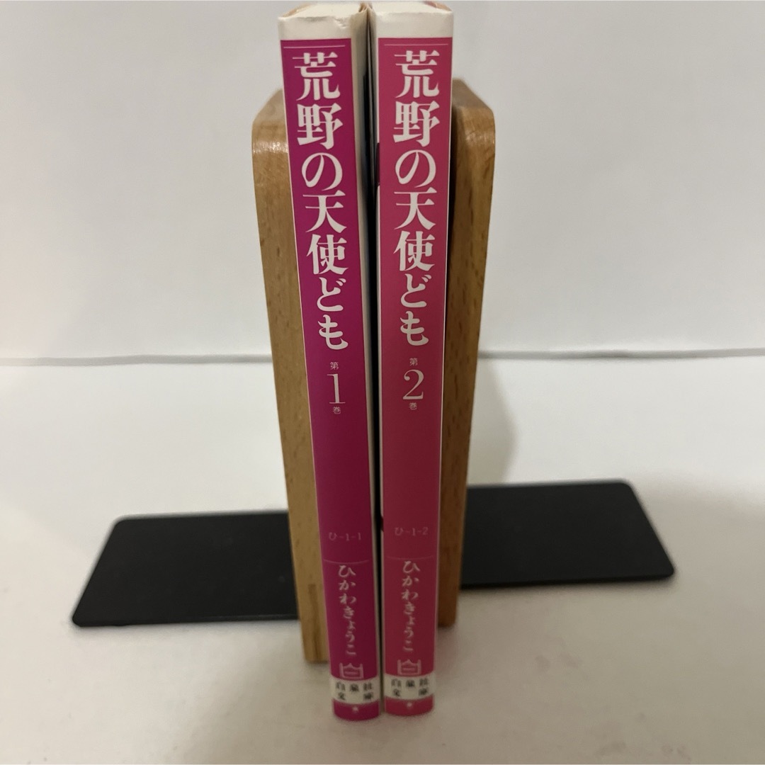 白泉社(ハクセンシャ)の★匿名配送★荒野の天使ども ひかわ きょうこ 白泉社文庫　全2巻セット　全巻 エンタメ/ホビーの漫画(少女漫画)の商品写真