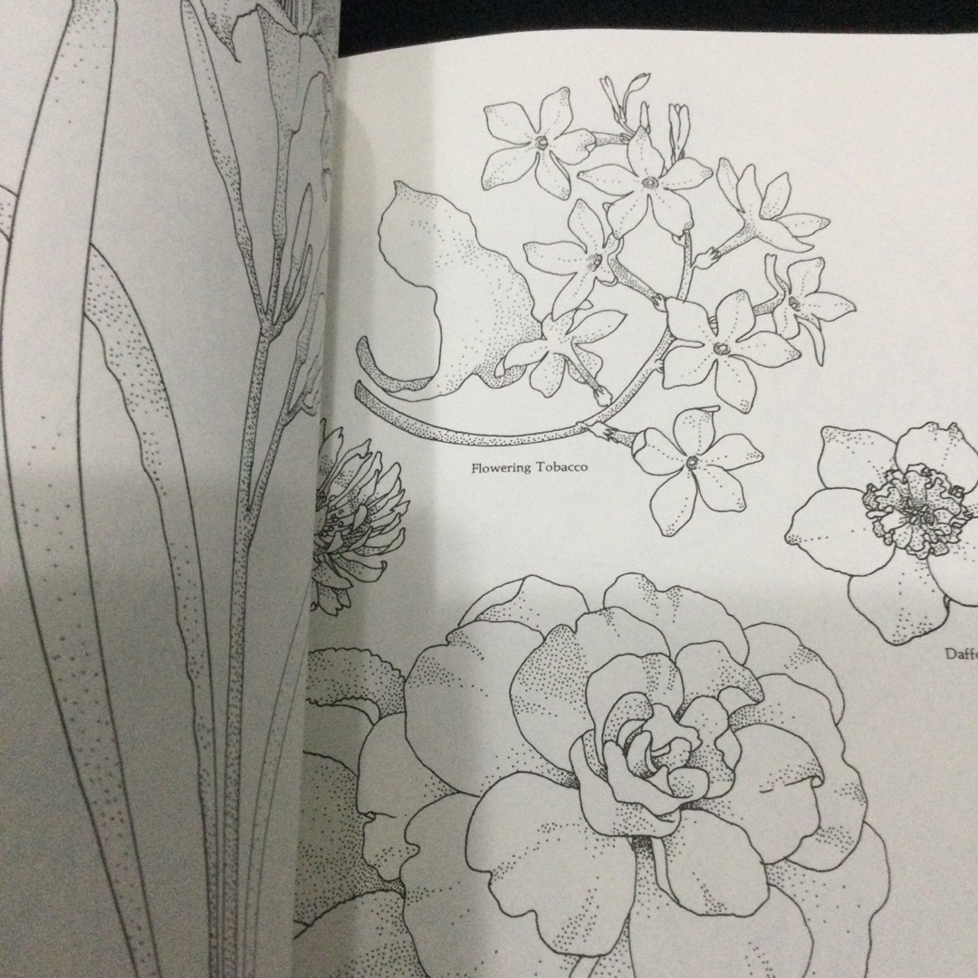 Flower designs フラワー　デザイン　洋書　花　植物　イラスト　英語 エンタメ/ホビーの本(洋書)の商品写真