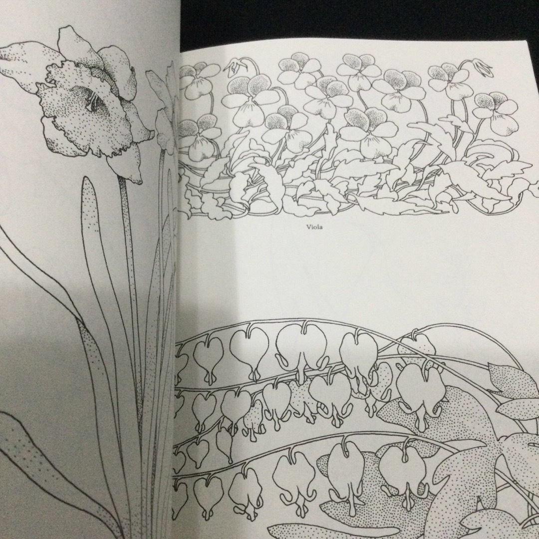Flower designs フラワー　デザイン　洋書　花　植物　イラスト　英語 エンタメ/ホビーの本(洋書)の商品写真