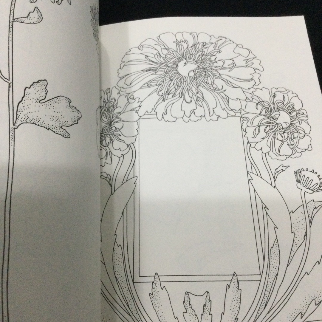 Flower designs フラワー　デザイン　洋書　花　植物　イラスト　英語 エンタメ/ホビーの本(洋書)の商品写真